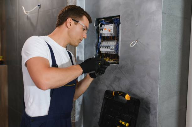 Best Electric Panel Repair  in Lamar, CO